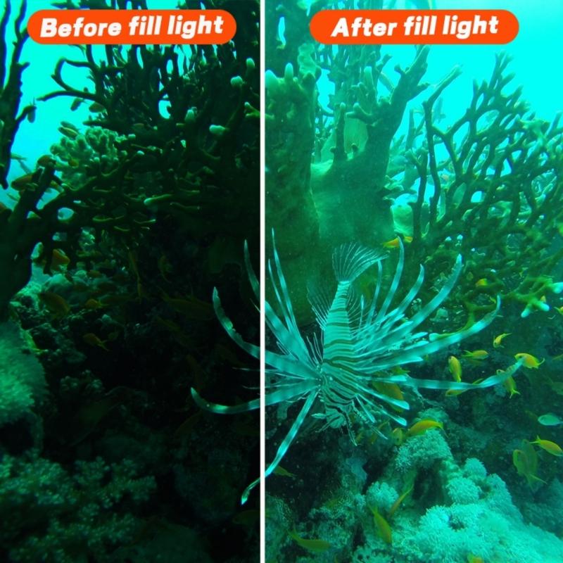 Photography Lighting Reference - M5TD Daldırma Işığı Aksiyon İçin 5