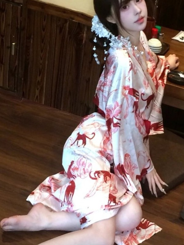 Yeni Çin Tarzı Pijama Hanfu In - Photography Lighting Style incelemesi ve fiyatı
